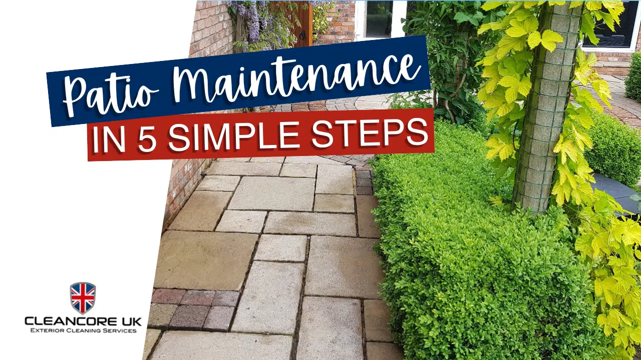 Patio Maintenance 5 Steps to Make It Less Painful Cleancore UK